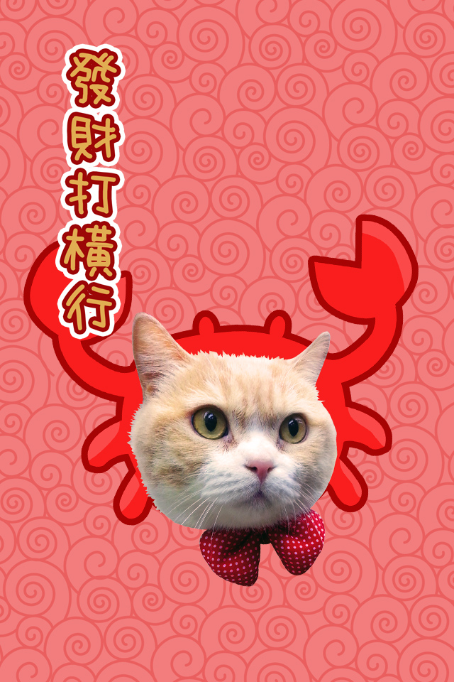 MeowGiftson_iPhone_Crab.jpg